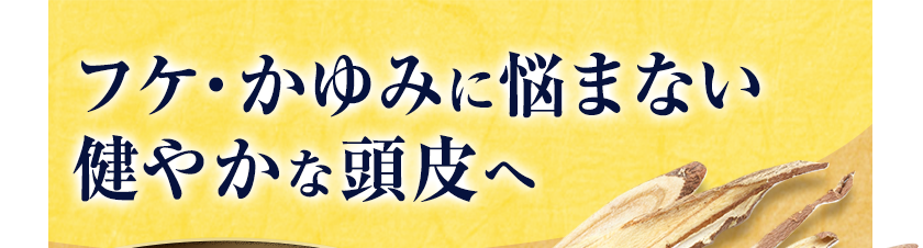 フケ・かゆみに悩まない健やかな頭皮へ