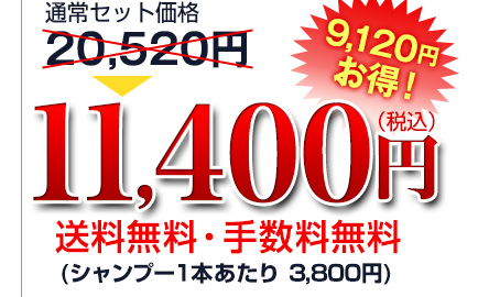 通常セット価格20,520円→11,400円（税込）送料無料・手数料無料　9120円お得！