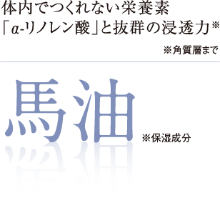 体内でつくれない栄養素「α-リノレン酸」と抜群の浸透力馬油（※保湿成分）