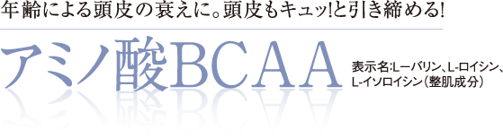 年齢による頭皮の衰えに。頭皮もキュッ！と引き締める！アミノ酸ＢＣＡＡ