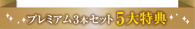 プレミアム3本セット5大特典