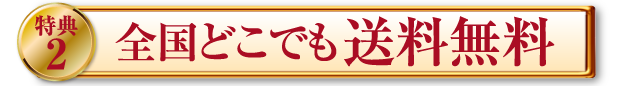 全国どこでも送料無料