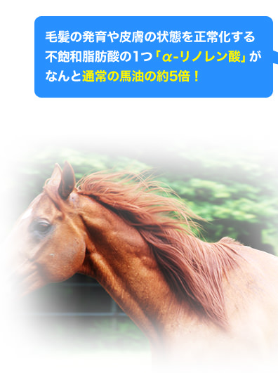 毛髪の発育や皮膚の状態を正常化する不飽和脂肪酸の1つ「α−リノレン酸」がなんと通常の馬油の約5倍！