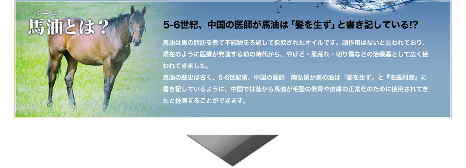 馬油とは？5-6世紀、中国の医師が馬油は「髪を生ず」と書き記している！？馬油は馬の脂肪を煮て不純物をろ過して採取されたオイルです。副作用はないと言われており、現在のように医療が発達する前の時代から、やけど・肌荒れ・切り傷などの治療薬として広く使われてきました。馬油の歴史は古く、5-6世紀頃、中国の医師　陶弘景が馬の油は「髪を生ず」と『名医別録』に書き記しているように、中国では昔から馬油が毛髪の発育や皮膚の正常化のために使用されてきたと推測することができます。