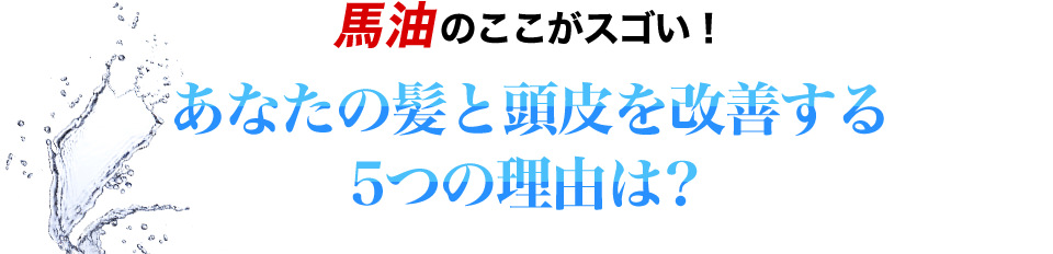 馬油のここがスゴい！あなたの髪と頭皮を改善する5つの理由は？