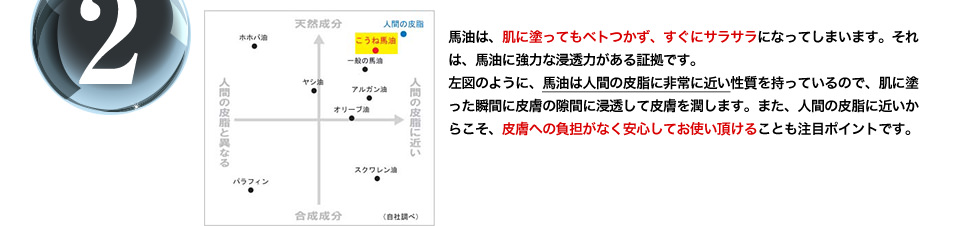馬油は、肌に塗ってもベトつかず、すぐにサラサラになってしまいます。それは、馬油に強力な浸透力がある証拠です。左図のように、馬油は人間の皮脂に非常に近い性質を持っているので、肌に塗った瞬間に皮膚の隙間に浸透して皮膚を潤します。また、人間の皮脂に近いからこそ、皮膚への負担がなく安心してお使い頂けることも注目ポイントです。