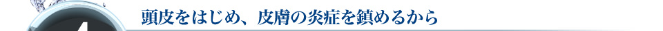 4　頭皮をはじめ、皮膚の炎症を鎮めるから