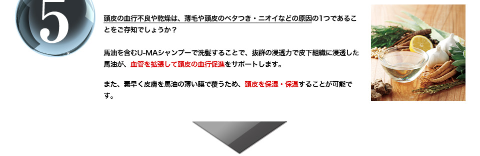 頭皮の血行不良や乾燥は、薄毛や頭皮のベタつき・ニオイなどの原因の1つであることをご存知でしょうか？馬油を含むU-MAシャンプーで洗髪することで、抜群の浸透力で皮下組織に浸透した馬油が、血管を拡張して頭皮の血行促進をサポートします。また、素早く皮膚を馬油の薄い膜で覆うため、頭皮を保湿・保温することが可能です。