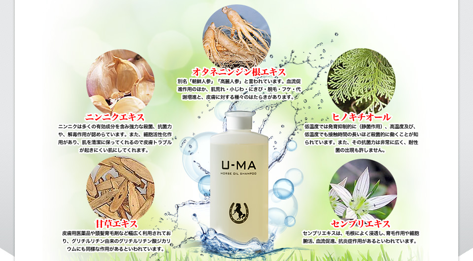 天草エキス・ニンニクエキス・オタネニンジン根エキス・ヒノキチオール・センブリエキス