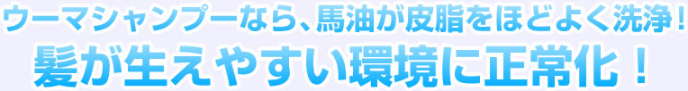 ウーマシャンプーなら、馬油が皮脂をほどよく洗浄！清潔でスッキリとした頭皮に！