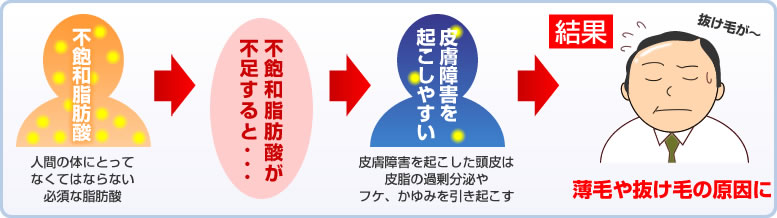 「不飽和脂肪酸」は、身体にとってなくてはならない必須脂肪酸