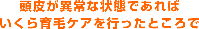 頭皮が異常な状態であればいくら育毛ケアを行ったところで
