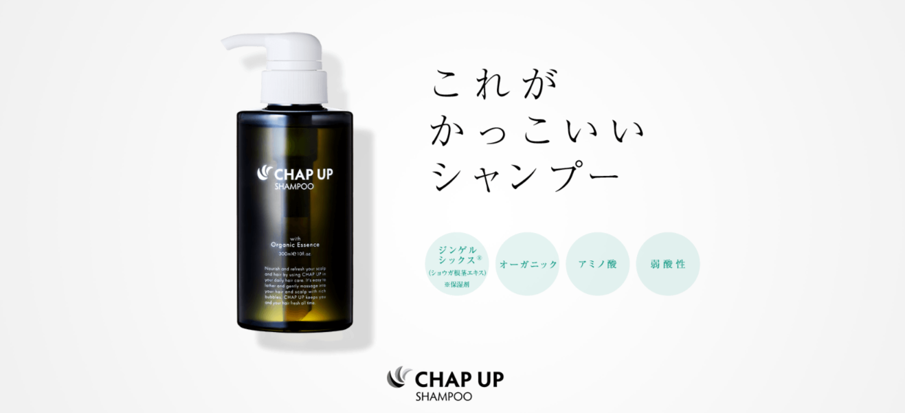CHAP UP（プッシュ①とレフィル⑤）合計⑥個 えげつない