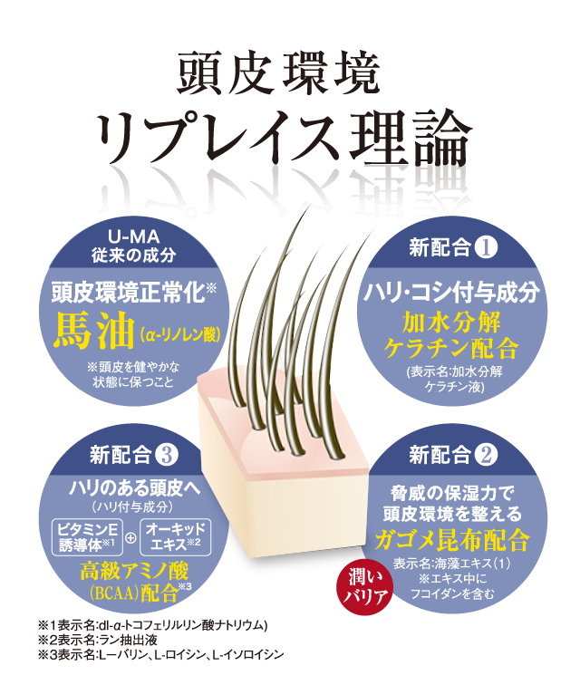 頭皮環境 リプレイス理論