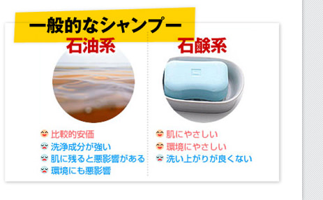 一般的なシャンプー　石油系・石鹸系