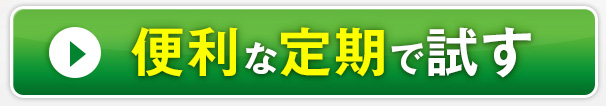 便利な定期で試す