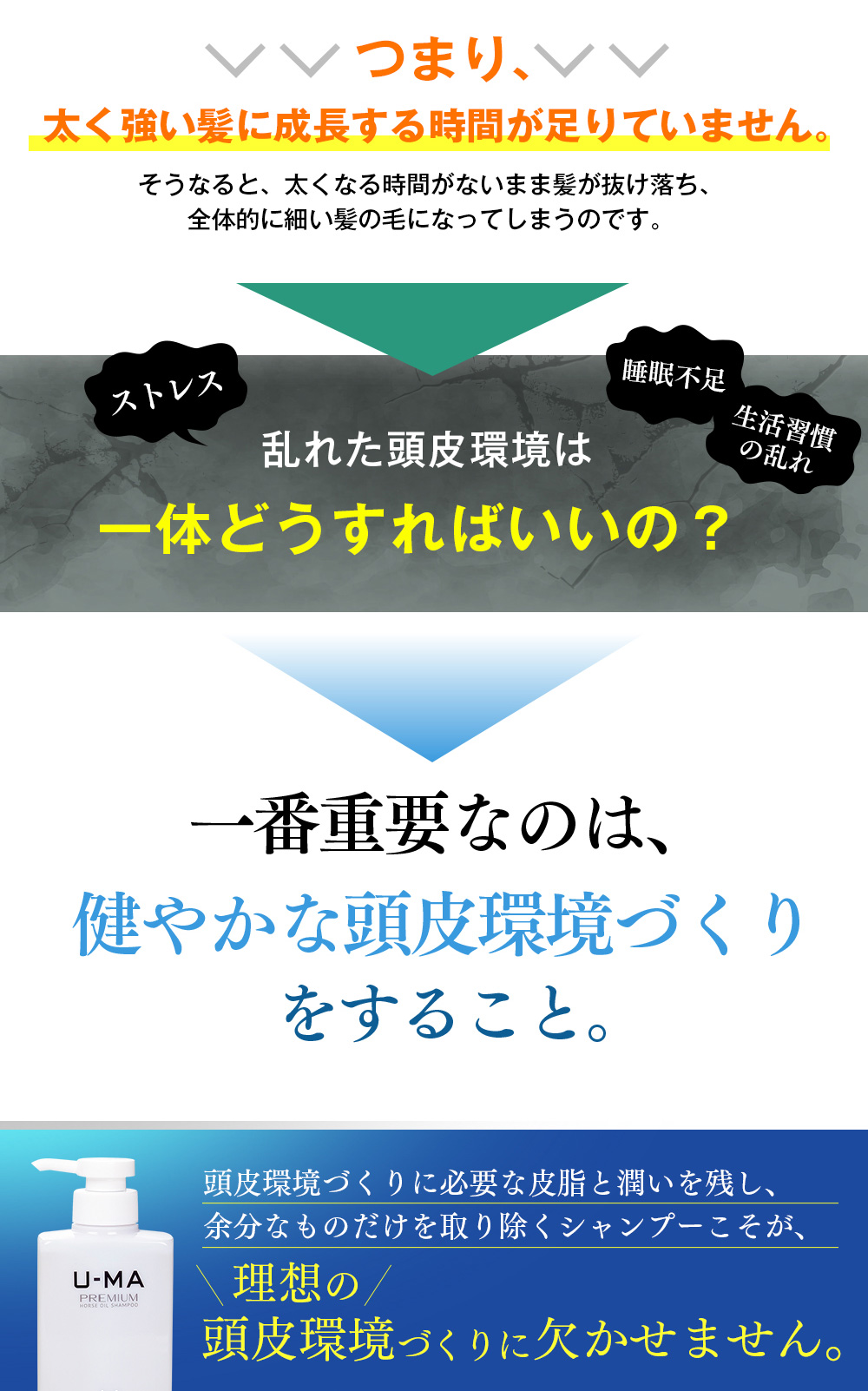 つまり、太く強い髪に成長する時間が足りていません。