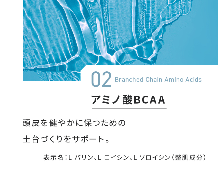 アミノ酸BCAA