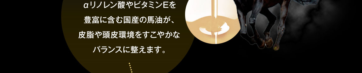 αリノレン酸やビタミンEを豊富に含む国産の馬油が、皮脂や頭皮環境をすこやかなバランスに整えます。