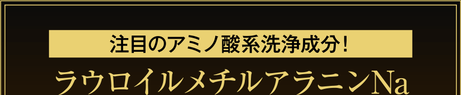 注目のアミノ酸系洗浄成分!ラウロイルメチルアラニンNa