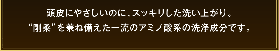 頭皮にやさしいのに、頼れる洗浄力と実感力。剛柔を兼ね備えた一流のアミノ酸系の洗浄成分です。