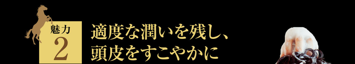 魅力2.適度な潤いを残し、すこやかな頭皮へ