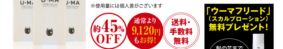 約45%OFF・通常より9,120円もお得！送料・手数料無料