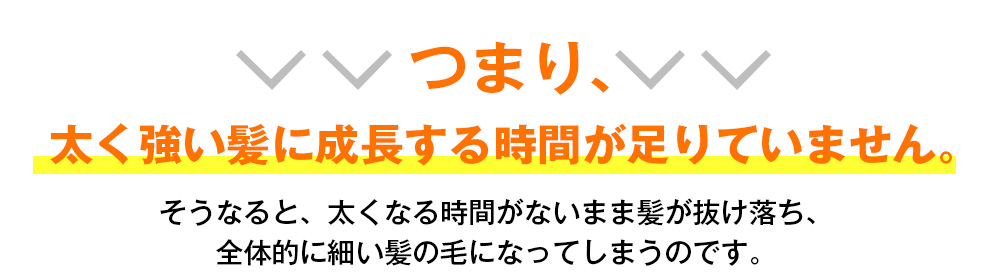 つまり、太く強い毛に成長するまでに時間が足りていないのです。