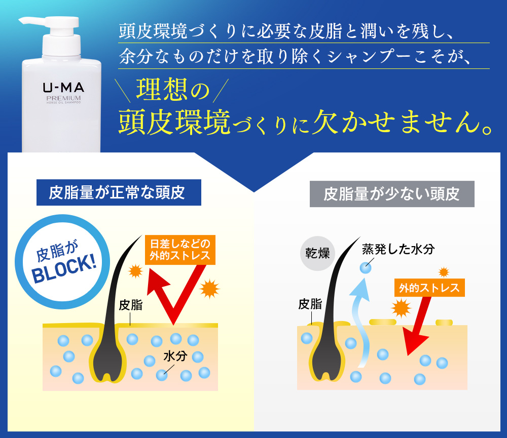 余分なものだけを取り除くシャンプーこそが、理想の頭皮環境づくりに欠かせません。