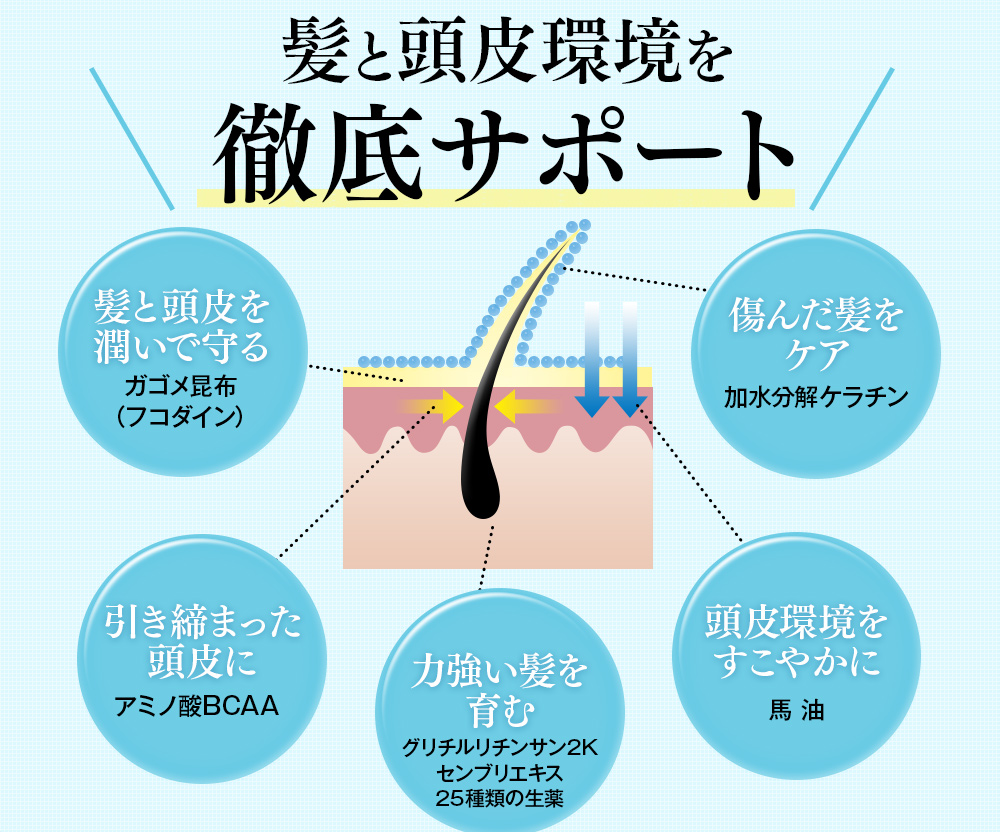 髪と頭皮環境を徹底サポート