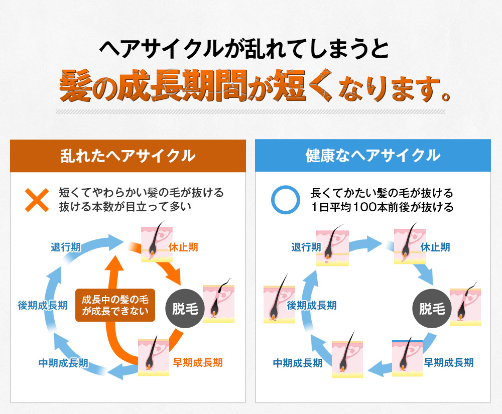 ヘアサイクルが乱れてしまうと髪の成長期間が短くなります。