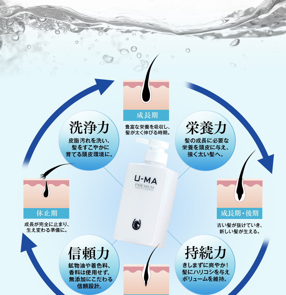 頭皮環境リプレイス理論