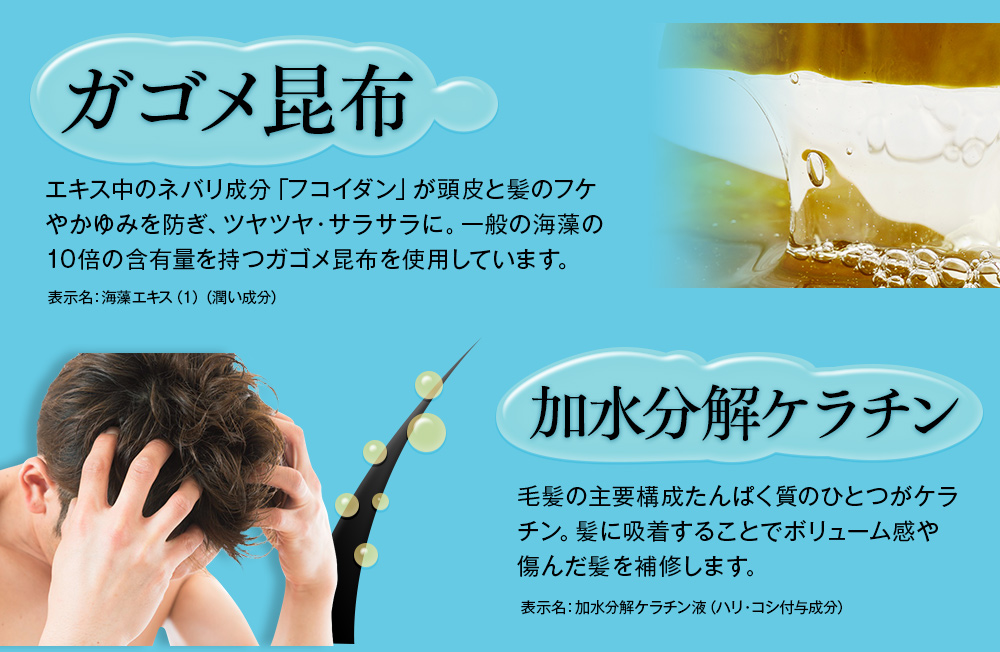 ガゴメ昆布　加水分解ケラチン